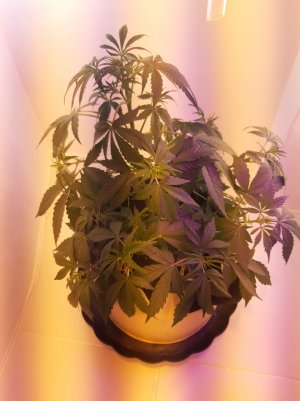 20220615_173857.jpg 20220615_173857.jpg