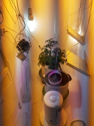 20220615_174254.jpg 20220615_174254.jpg