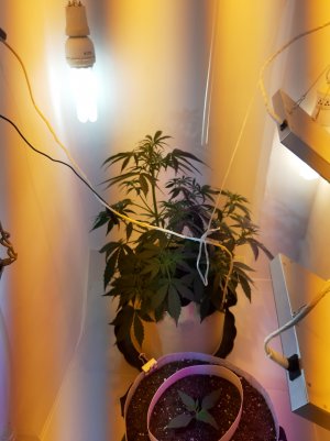 20220615_191008.jpg 20220615_191008.jpg