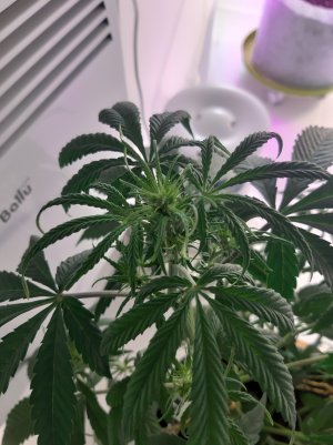 20220615_200835.jpg 20220615_200835.jpg