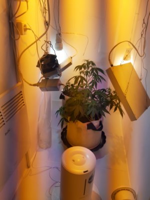 20220615_200857.jpg 20220615_200857.jpg