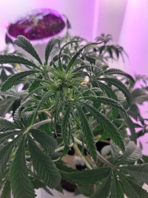 20220615_203402.jpg 20220615_203402.jpg