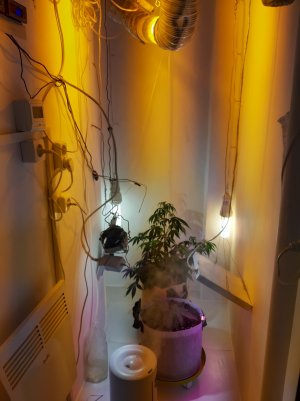 20220615_203413.jpg 20220615_203413.jpg