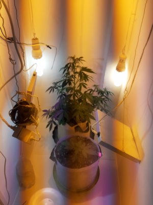 20220615_210942.jpg 20220615_210942.jpg