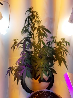 20220615_211037.jpg 20220615_211037.jpg