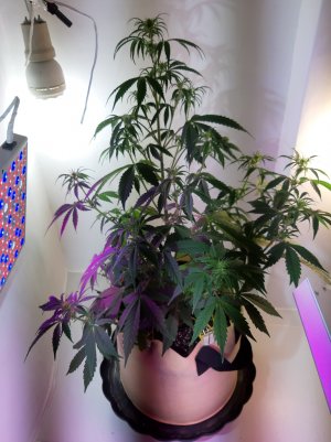 20220615_230100.jpg 20220615_230100.jpg