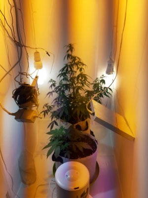 20220616_104122.jpg 20220616_104122.jpg