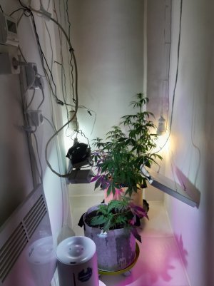 20220616_110701.jpg 20220616_110701.jpg