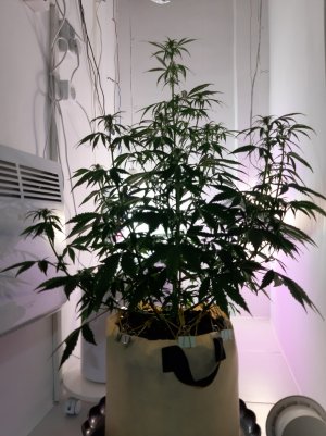 20220616_111638.jpg 20220616_111638.jpg