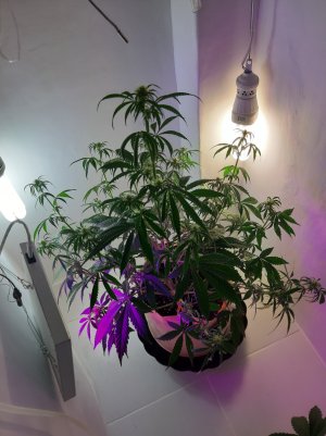 20220616_112054.jpg 20220616_112054.jpg