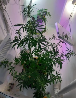 20220616_111704.jpg 20220616_111704.jpg