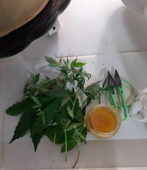 20220616_111728.jpg 20220616_111728.jpg