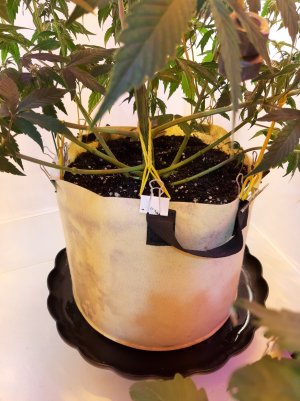 20220616_111852.jpg 20220616_111852.jpg