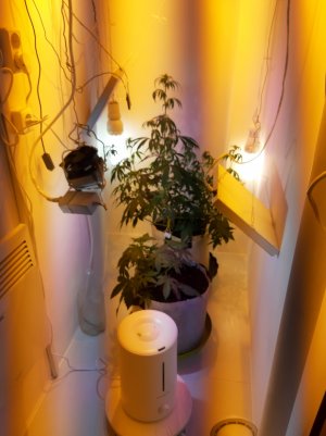 20220616_111910.jpg 20220616_111910.jpg