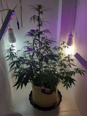 20220616_150347.jpg 20220616_150347.jpg