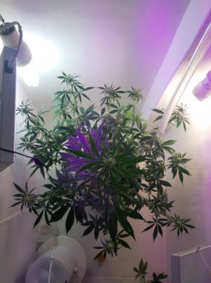 20220616_150329.jpg 20220616_150329.jpg