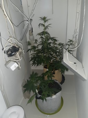 20220616_150405.jpg 20220616_150405.jpg