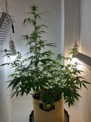 20220616_151541.jpg 20220616_151541.jpg