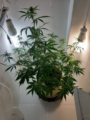 20220616_151524.jpg 20220616_151524.jpg