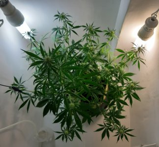 20220616_151609.jpg 20220616_151609.jpg