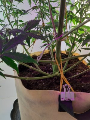 20220616_151630.jpg 20220616_151630.jpg