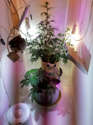 20220616_151645.jpg 20220616_151645.jpg