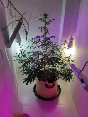 20220616_153353.jpg 20220616_153353.jpg