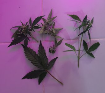 20220616_153420.jpg 20220616_153420.jpg