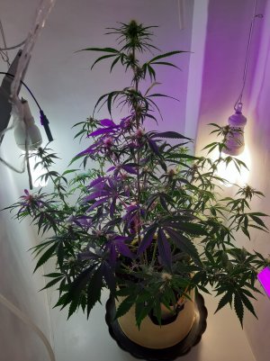 20220616_162450.jpg 20220616_162450.jpg