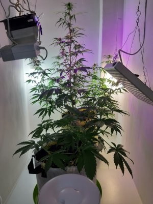 20220616_162504.jpg 20220616_162504.jpg