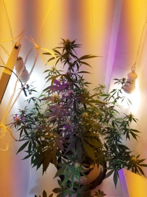 20220616_173713.jpg 20220616_173713.jpg