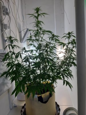 20220616_174752.jpg 20220616_174752.jpg