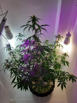 20220616_174836.jpg 20220616_174836.jpg