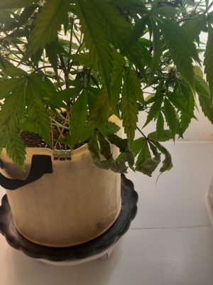 20220617_113839.jpg 20220617_113839.jpg