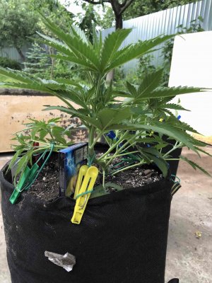 44B5269D-6D32-4E12-96B8-15F79B661291.jpeg 44B5269D-6D32-4E12-96B8-15F79B661291.jpeg