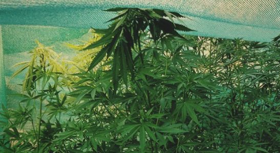 1655586855711.png 1655586855711.png