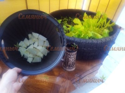 37-wm-81935.09999999878_watermarked.jpg 37-wm-81935.09999999878_watermarked.jpg