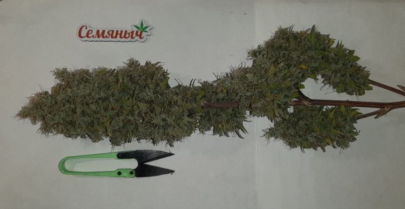 20220620_122529.jpg 20220620_122529.jpg