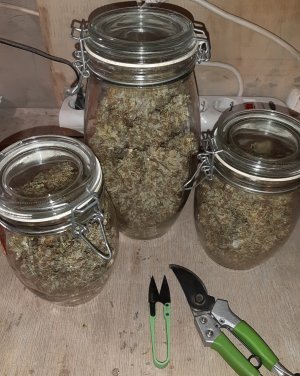 20220620_130307.jpg 20220620_130307.jpg