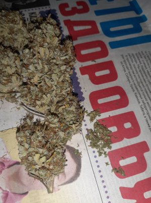 20220619_144203.jpg 20220619_144203.jpg