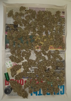 20220619_144342.jpg 20220619_144342.jpg