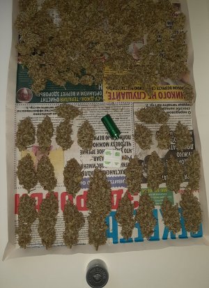 20220619_144330.jpg 20220619_144330.jpg