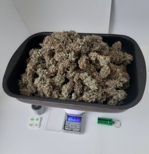 20220619_144135.jpg 20220619_144135.jpg