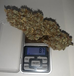 20220619_144315.jpg 20220619_144315.jpg