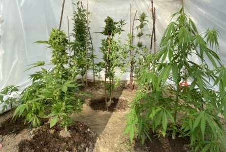 20.06.22 2.jpeg 20.06.22 2.jpeg