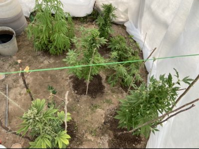 20.06.22.jpeg 20.06.22.jpeg