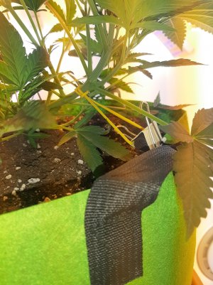 20220621_104550.jpg 20220621_104550.jpg