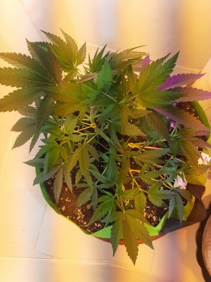 20220621_104742.jpg 20220621_104742.jpg