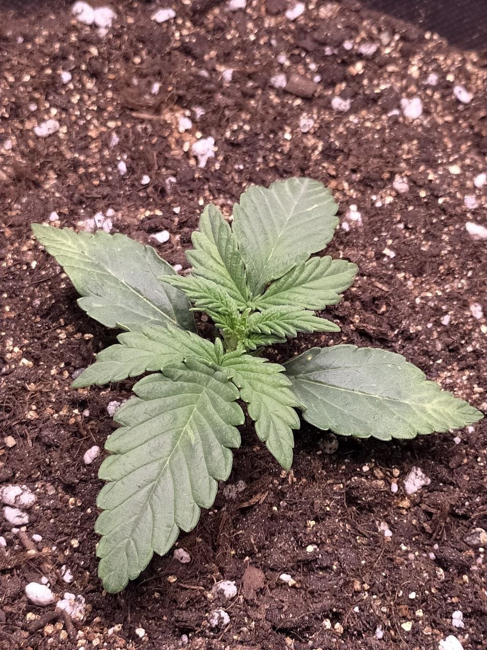 photo2 — копия.jpg