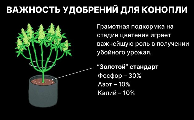Удобрения для конопли Удобрения для конопли